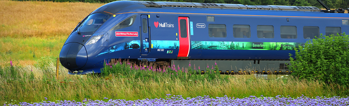 News and media banner image