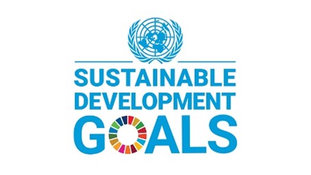 New guidelines for using the Sustainable Development Goals logo